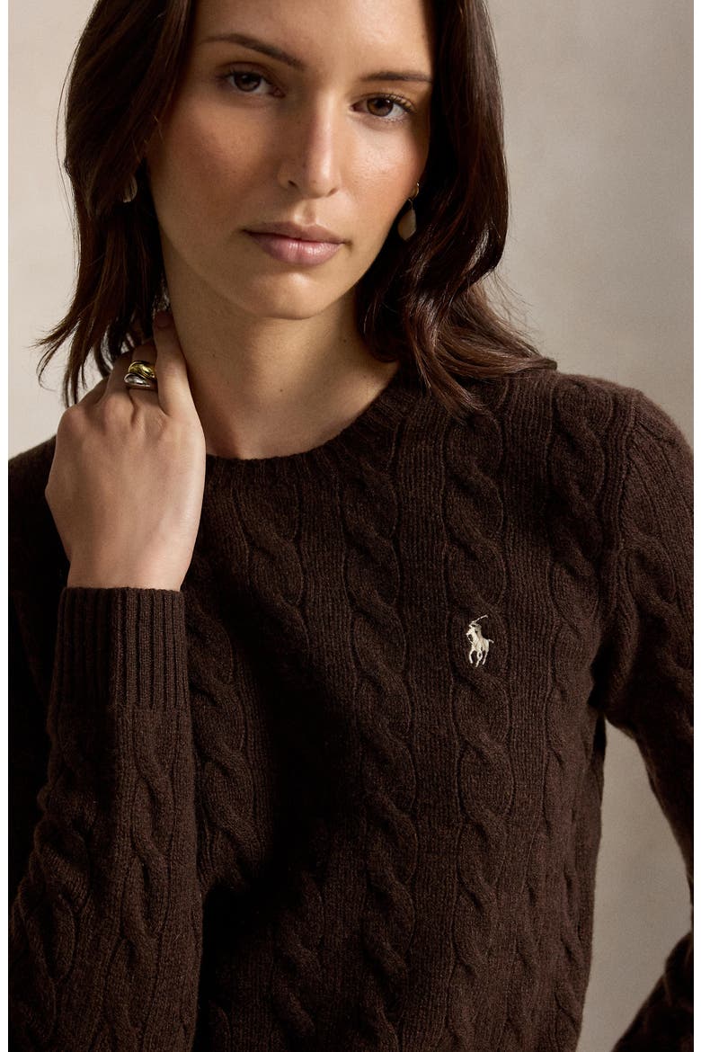 Crewneck Cable Wool & Cashmere Sweater, Alternate, color, BROWN