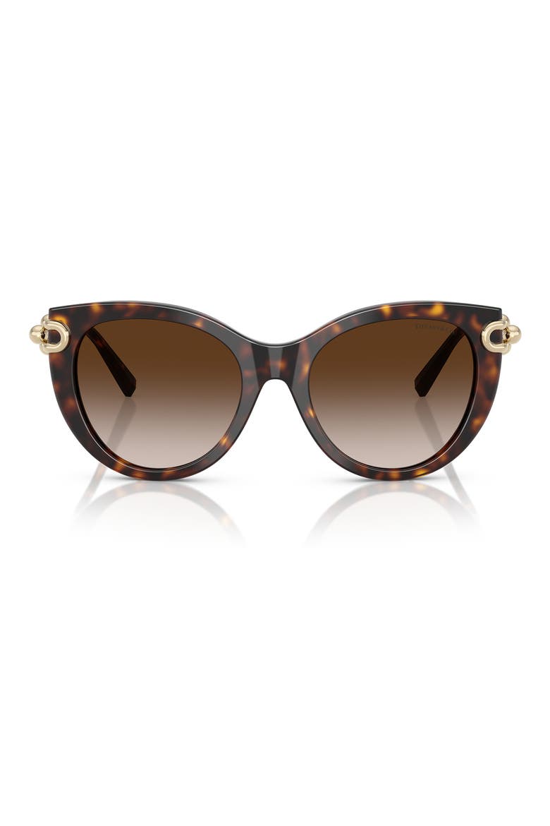 53mm Gradient Butterfly Sunglasses, Main, color, HAVANA / BROWN GRADIENT