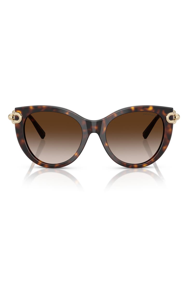 Tiffany & Co. 53mm Gradient Butterfly Sunglasses, Main, color, Havana / Brown Gradient