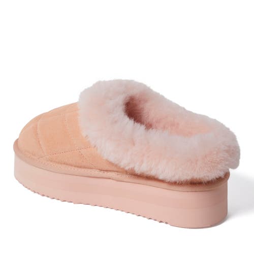 Dearfoams Fireside Bendigo Genuine Shearling Quilted Platform Clog Slipper In Peach Dust