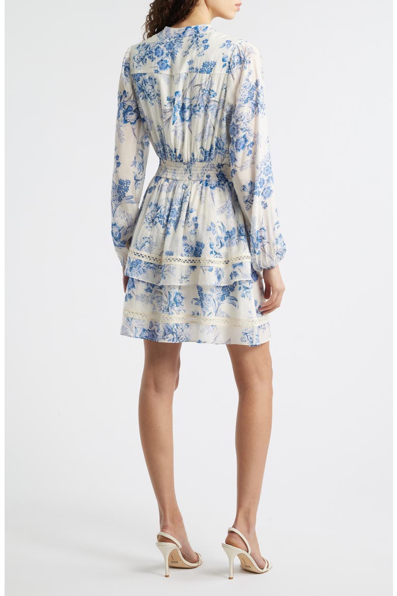 Floral Long Sleeve Tiered Minidress, Alternate, color, BLUE FLORAL