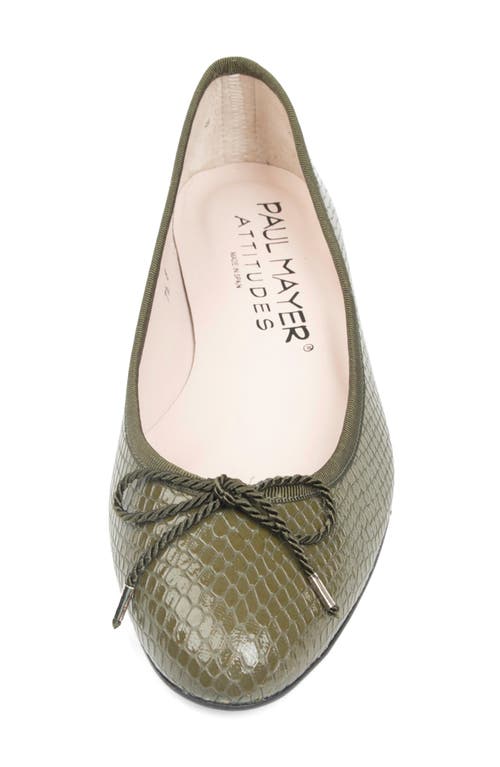 Paul Mayer Luxe Textured Ballet Flat In Green