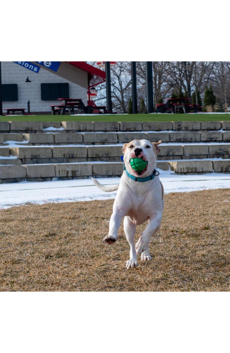 PetKORE FloTex Ball, Large, 3.25 Inches, Green, Dog Toy, Alternate, color,