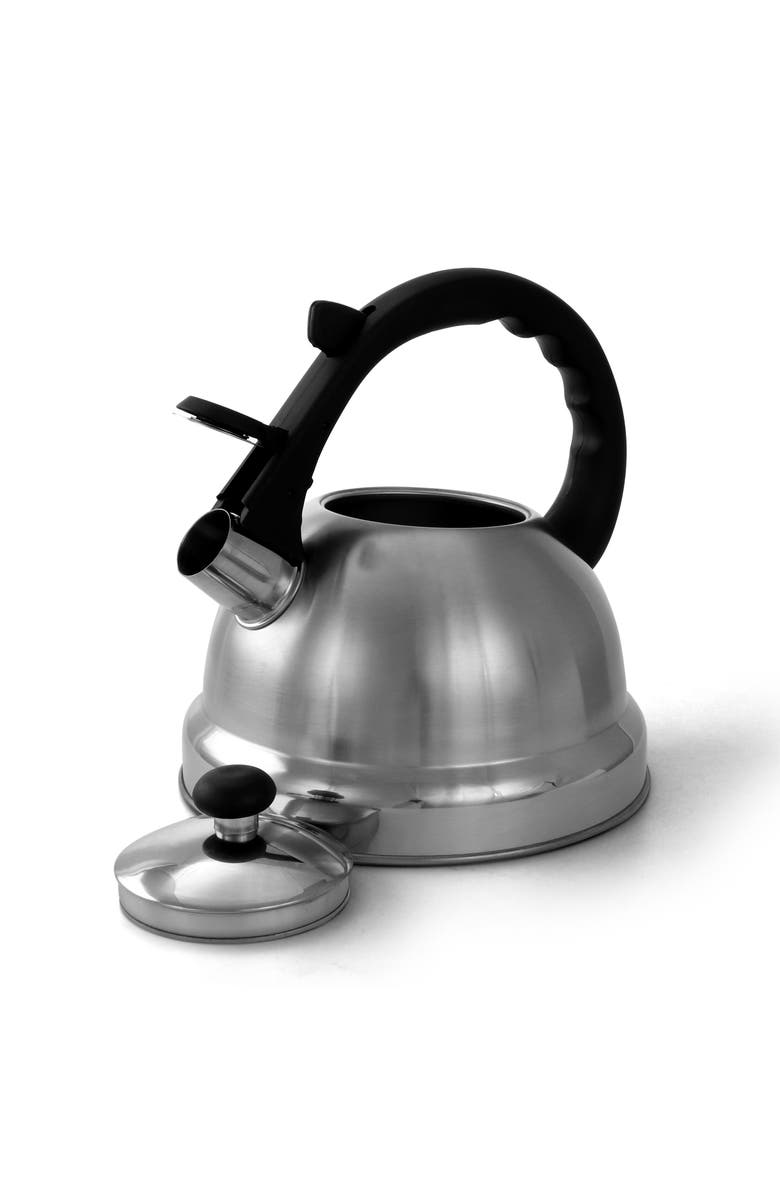 MR COFFEE Claale 2.2 Quart Brushed Stainless Steel Whistling Tea Kettle with Nylon Handle, Alternate, color, Metallic Silver
