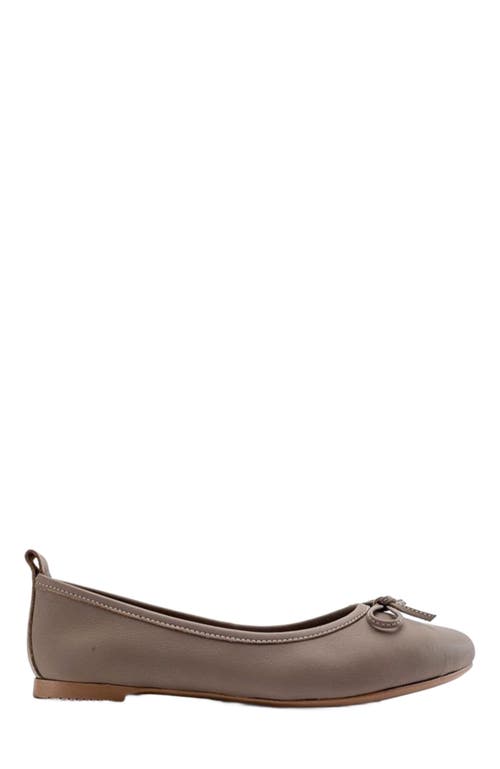 Forever & Always Shoes Florence Leather Ballerina Flats in Milk Brown Leather at Nordstrom, Size 5.5