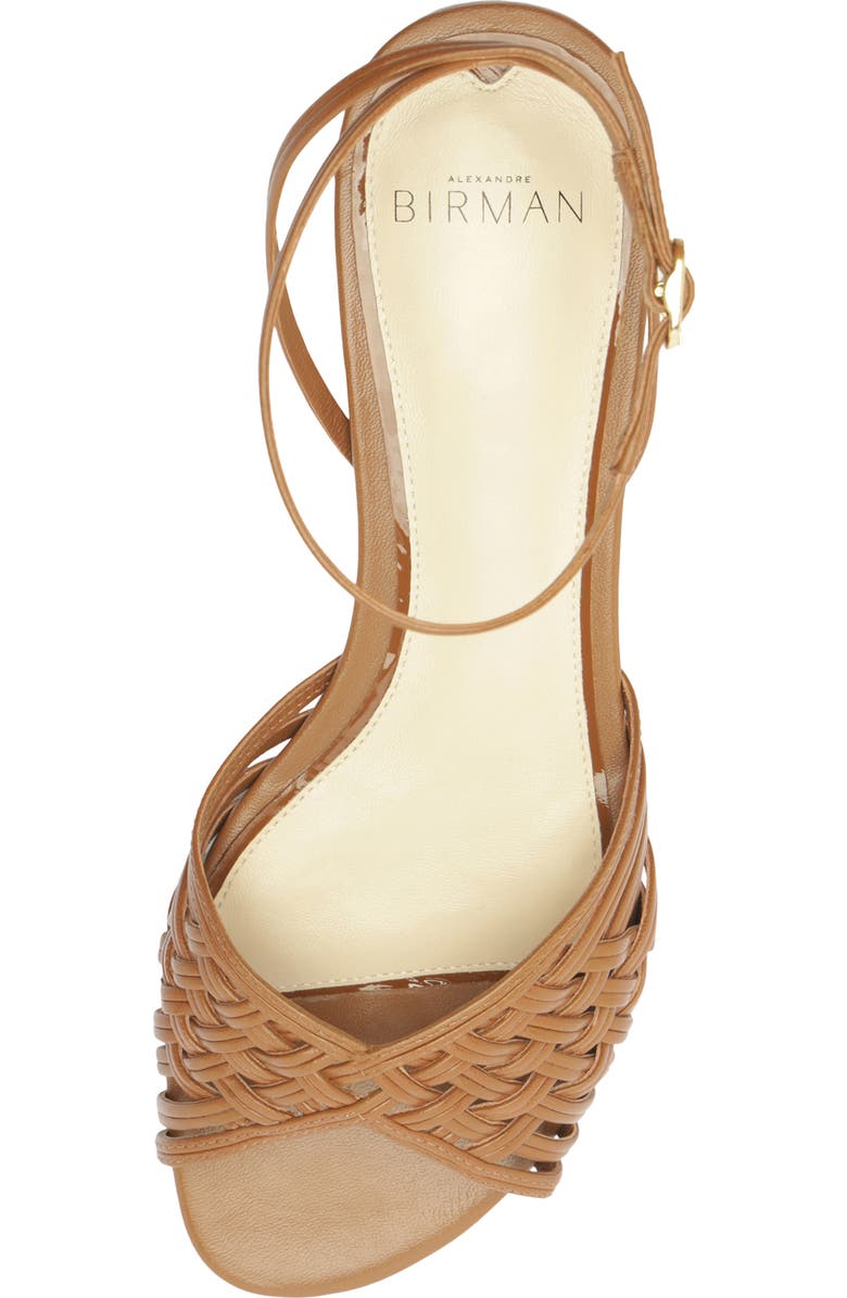 Alexandre Birman Lilian Woven Flat Ankle Strap Sandal, Alternate, color, Espresso