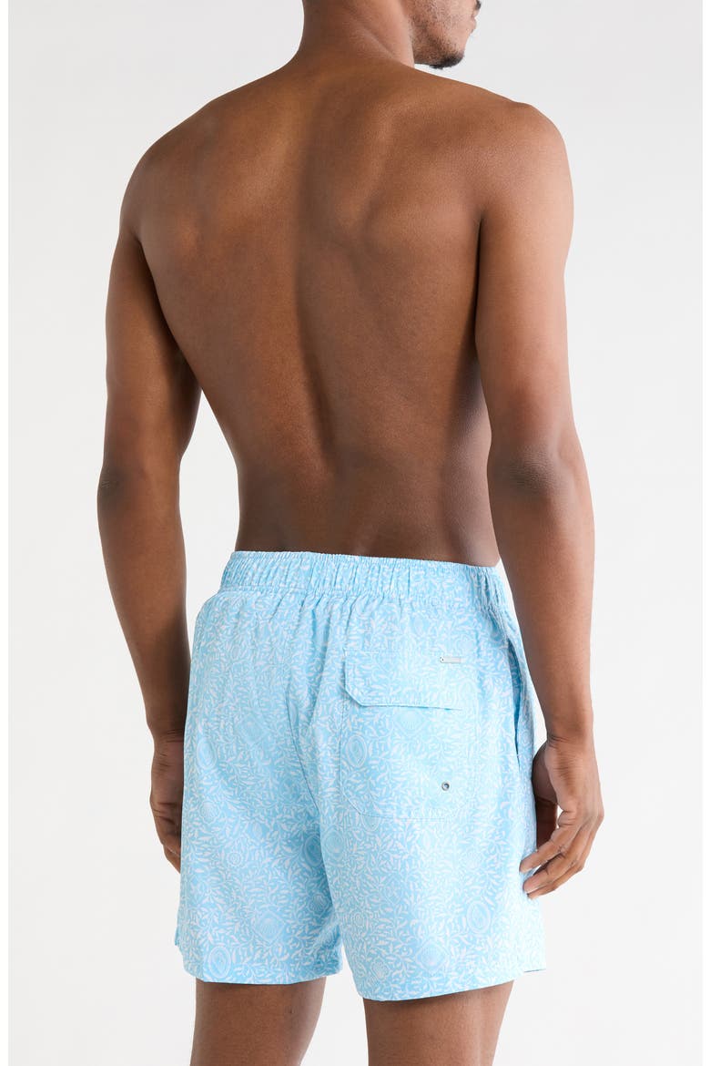 Shell Print 4 Way Stretch Volley Swim Trunks, Main, color, BLUE