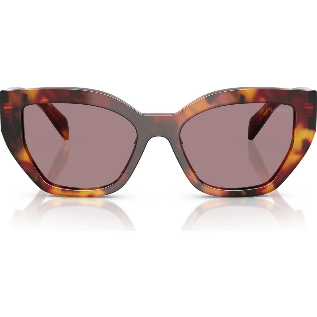 Prada 55mm Butterfly Sunglasses In Brown Tortoise