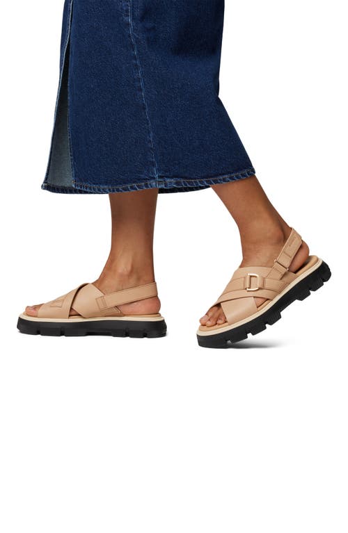 Sorel Rein Cb Crisscross Sandal In Multi