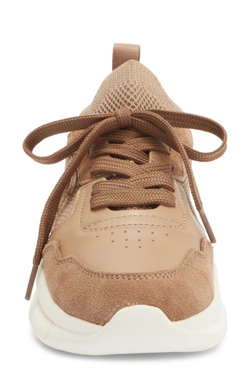 Stuart Weitzman 5050 Knit Sneaker In Brown