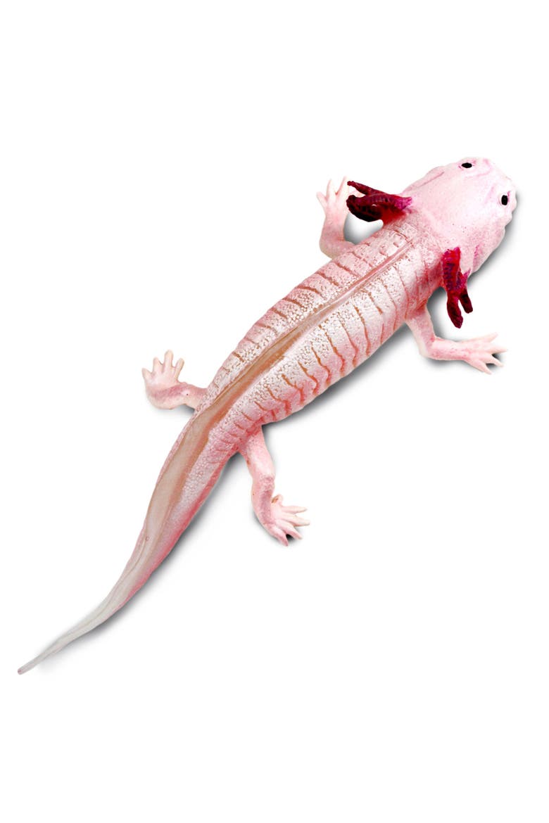 Axolotl Toy, Alternate, color, No Color