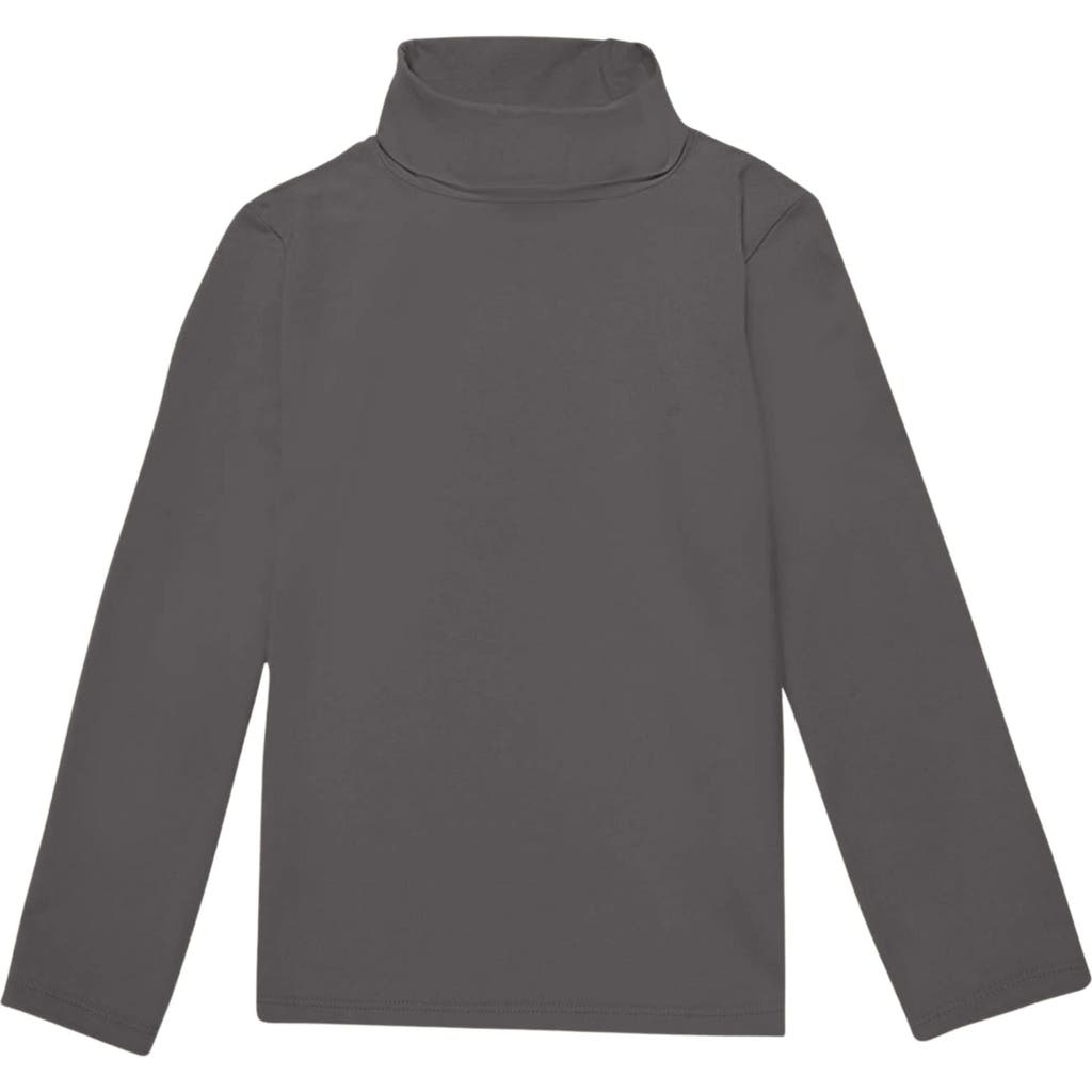 The Sunday Collective Essential Turtleneck In Gray