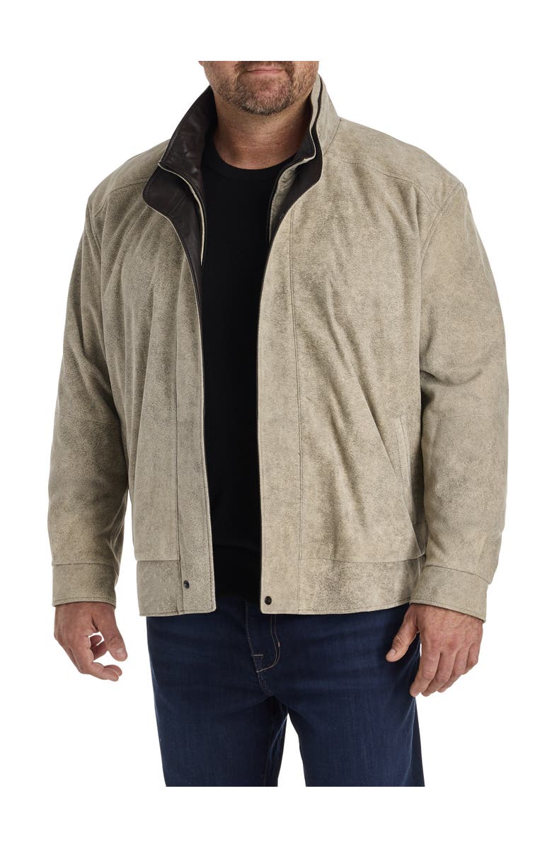 Remy Big & Tall Double-Collar Diego Leather Jacket, Main, color, Grey