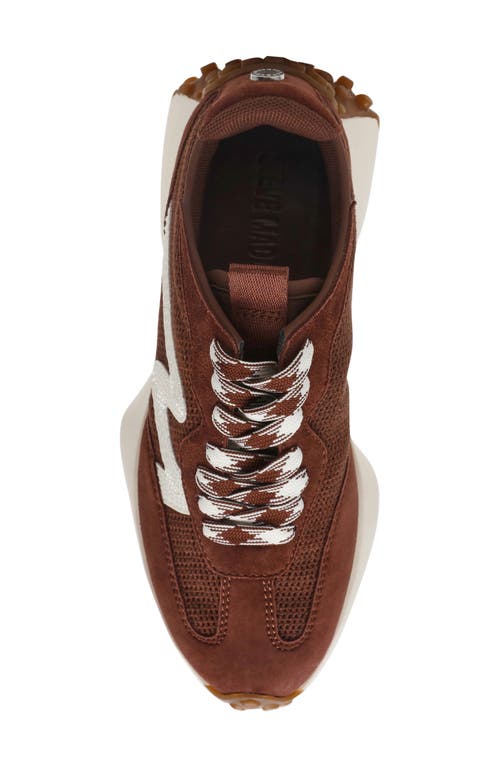 Steve Madden Campo Sneaker In Brown Multi