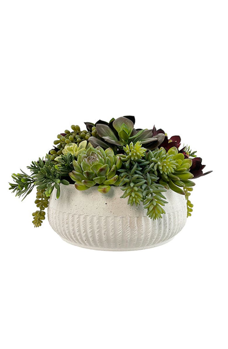 CG Hunter 12" Succulent Arrangement, Main, color, White