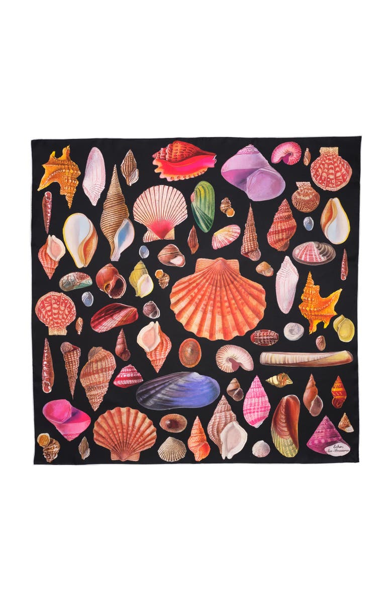 Echo Sea Treasures Scarf, Main, color, Black