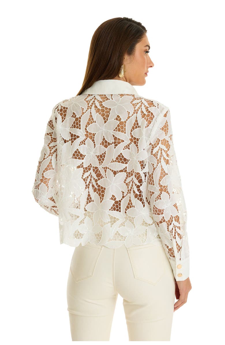 The Noli Shop Mina Lace Blouse, Alternate, color, 