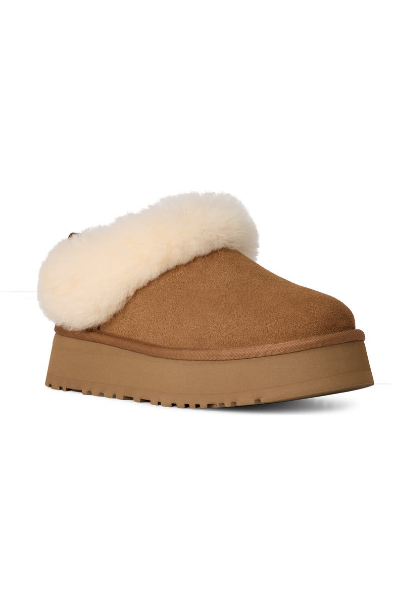UGG<sup>®</sup> Tazzelle Genuine Shearling Collar Slipper, Main, color, Chestnut