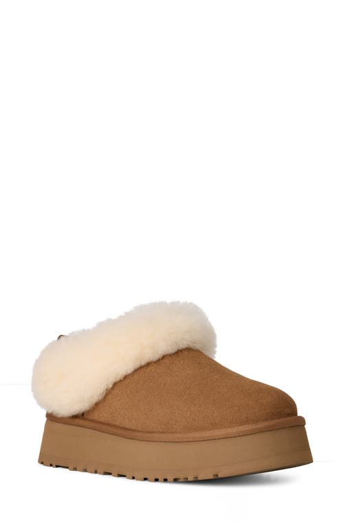 Ugg(r) Tazzelle Genuine Shearling Collar Slipper In Brown