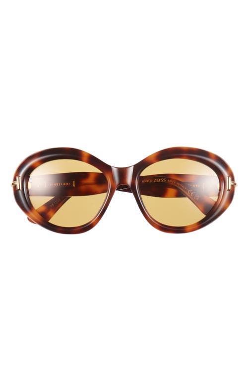 Tom Ford 55mm Oval Sunglasses In Brown