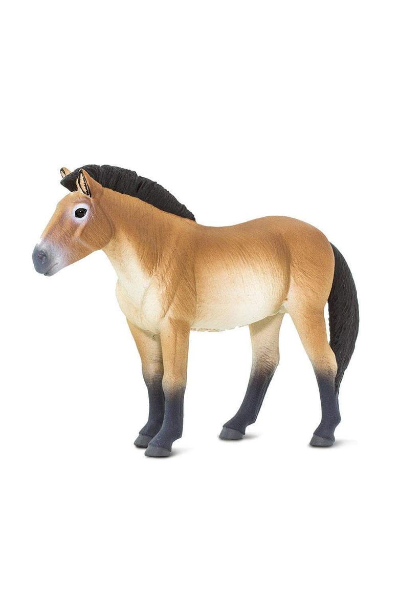 Safari Ltd. Przewalskis Horse Kids Toy Figure, Alternate, color, NO COLOR
