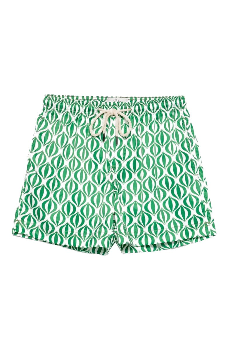 Peninsula Swimwear Cala Cipolla Swim Shorts, Main, color,
