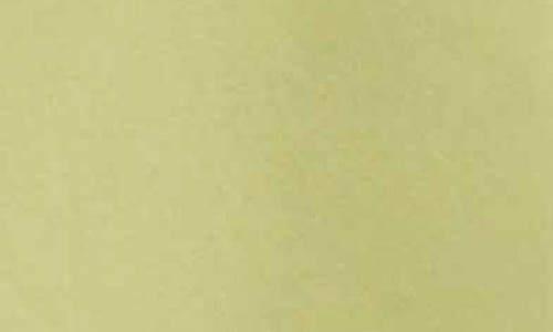 Foxcroft Madison Popover Cotton Oxford Shirt In Pistachio