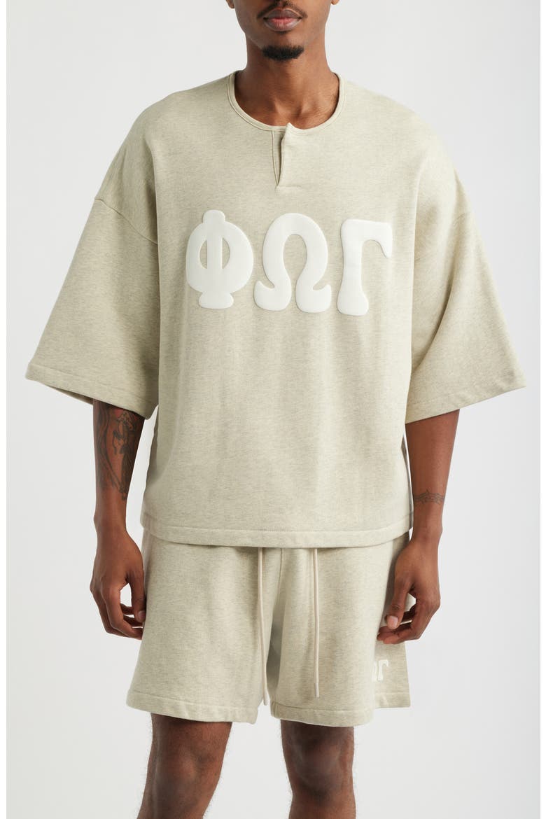 Appliqué Henley Sweatshirt, Main, color, WASHED VANILLA HEATHER