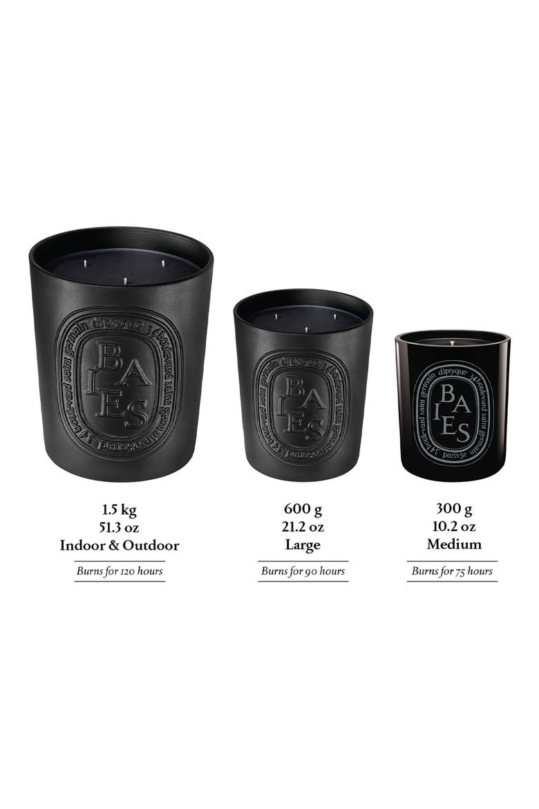 Baies (Berries) Large Scented Candle, Alternate, color, BLACK VESSEL