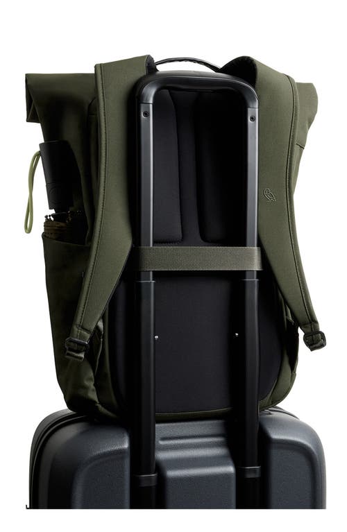 Bellroy Classic Roll Top Water Resistant 16l Backpack In Green