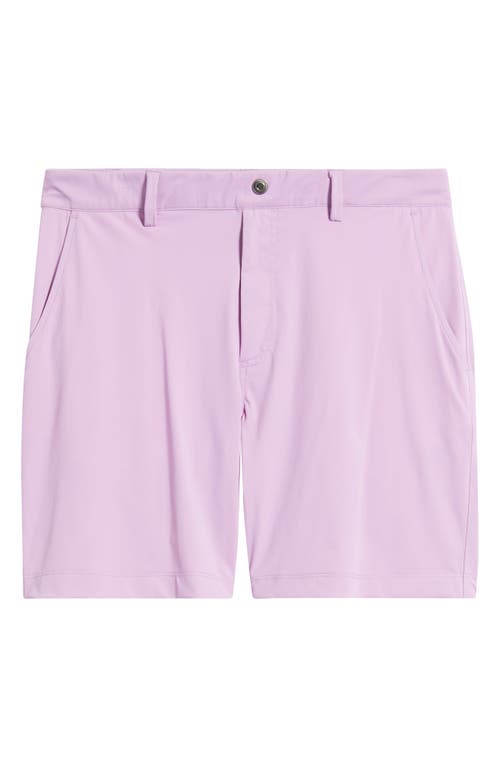 Swannies Bunker Flat Front Stretch Golf Shorts In Purple