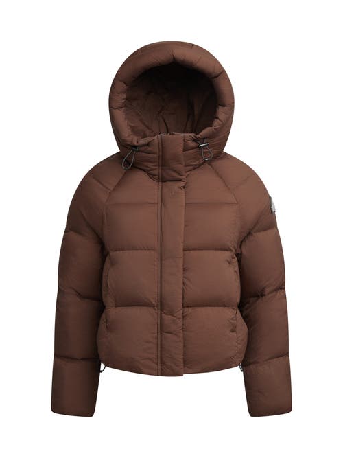 Jack1t Cloud Cropped Hooded Puffer Jacket In Brown