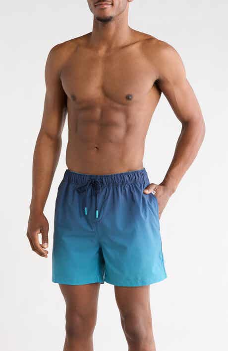 Vintage Summer Ombré 4 Way Stretch Lined Volley Swim Trunks
