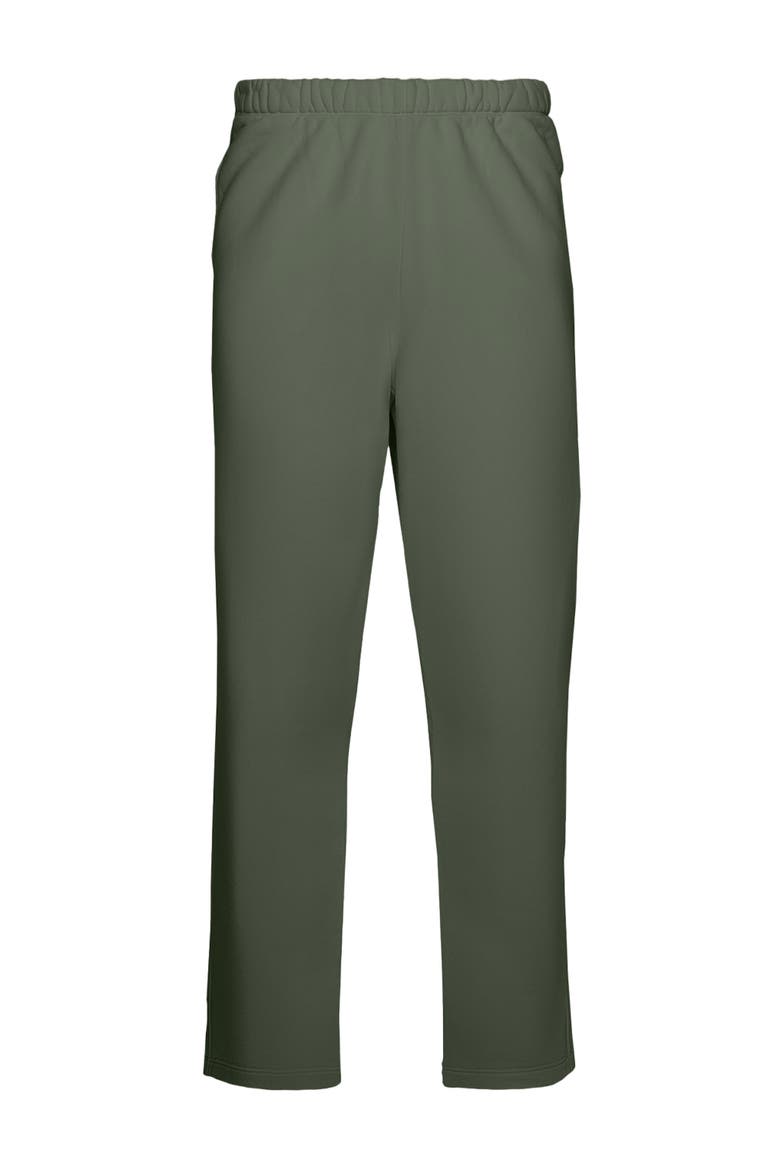 Organic Cotton Teddy Straight Leg Pant, Alternate, color, Spruce