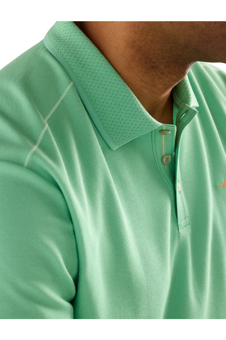 Big & Tall Emfielder IslandZone® Polo Shirt, Alternate, color, LT NEPTUNE GREEN
