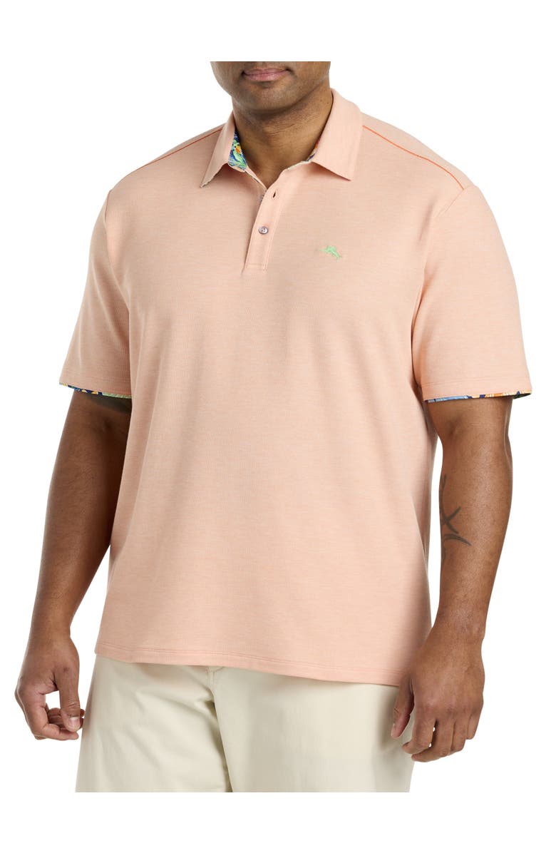 Tommy Bahama Big & Tall Perfectly Paradise Five o'Clock Polo Shirt, Main, color,