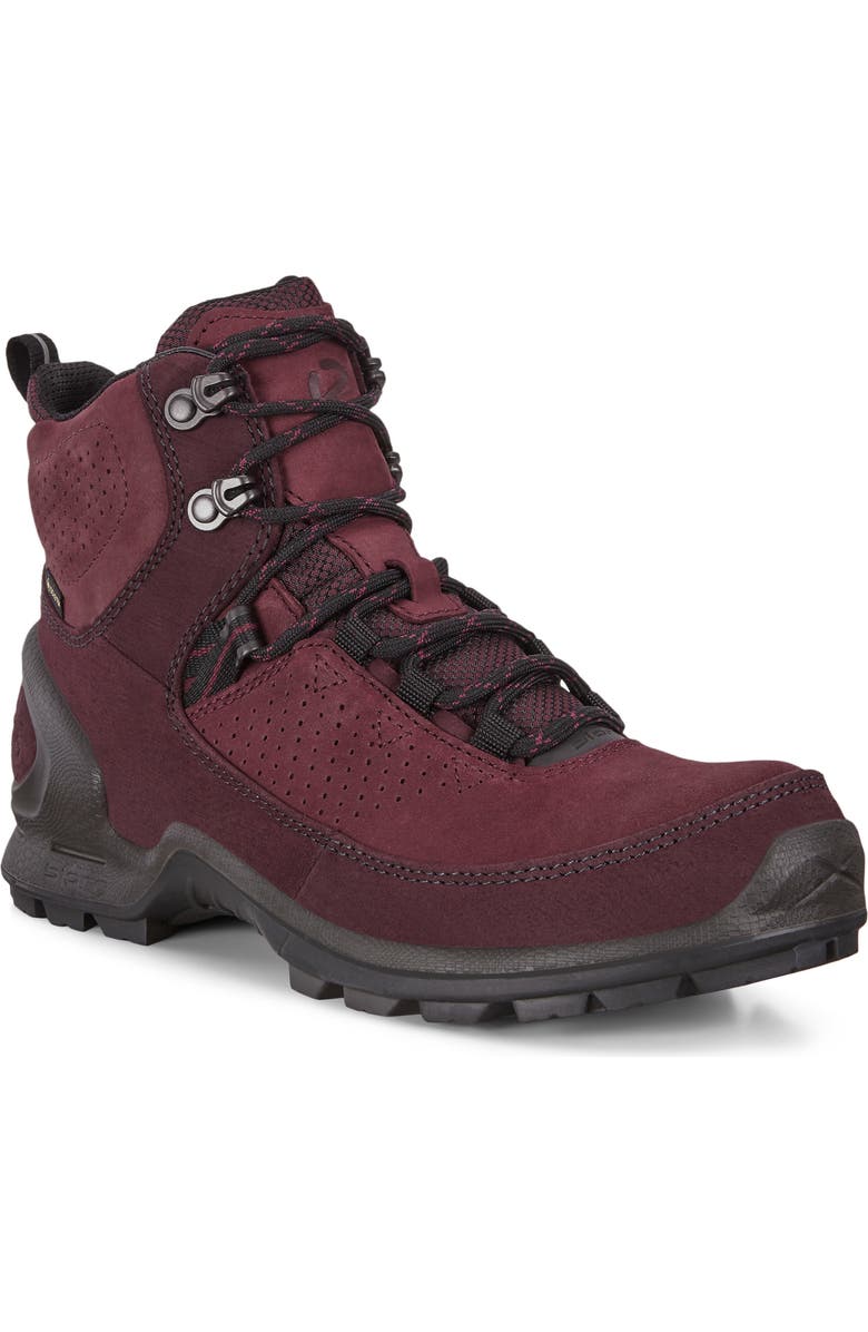 ECCO Biom Terrain Gore-Tex<sup>®</sup> Waterproof Hiking Boot, Main, color,