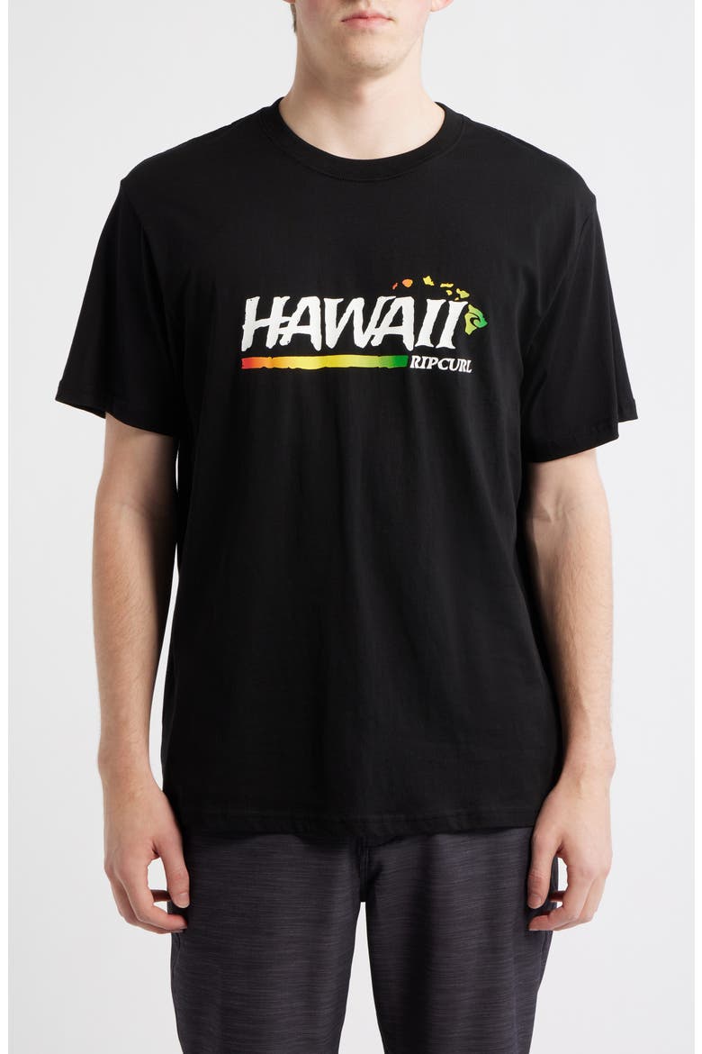 Hawaii Gritty Cotton Graphic T-Shirt, Main, color, BLACK