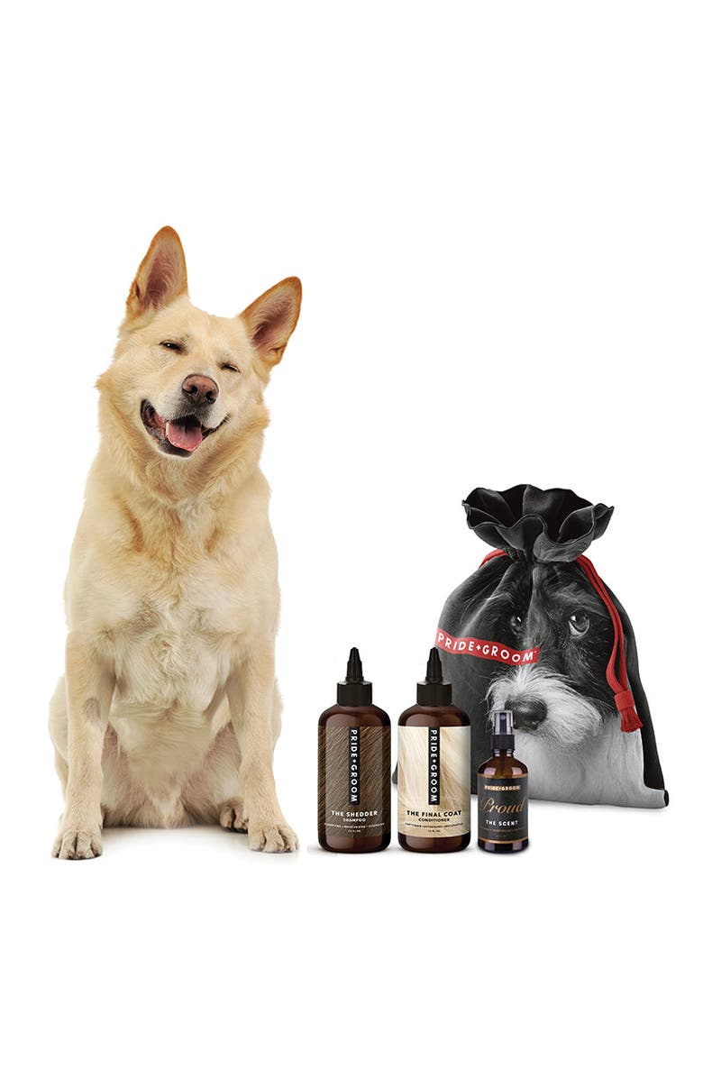 PRIDE+GROOM The Big Deluxe Doggy Bag, Alternate, color, The Sensitive One