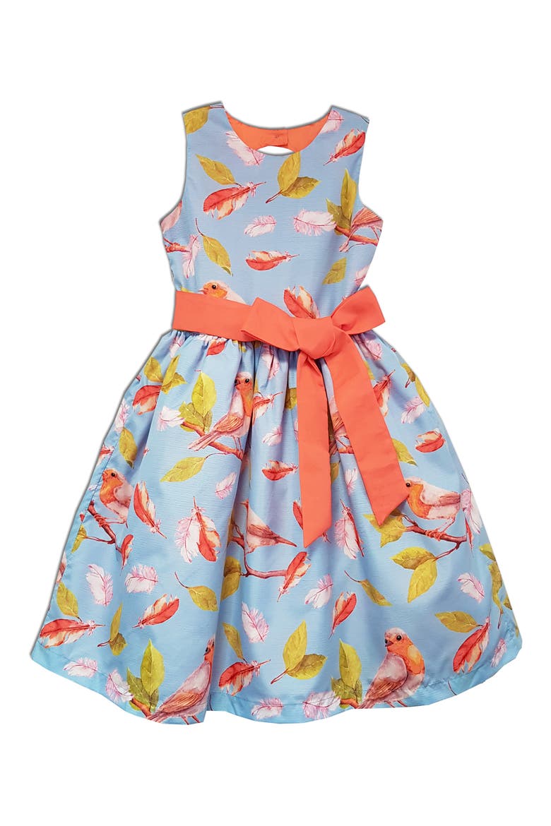 Kids' Bird & Floral Print Party Dress, Main, color, BLUE