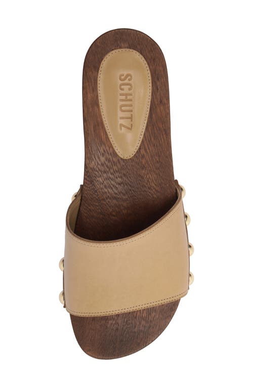 Schutz Shayla Slide Sandal In Purple