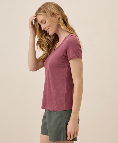 Pact Organic Cotton Featherweight Slub V-neck Tee In Mauve