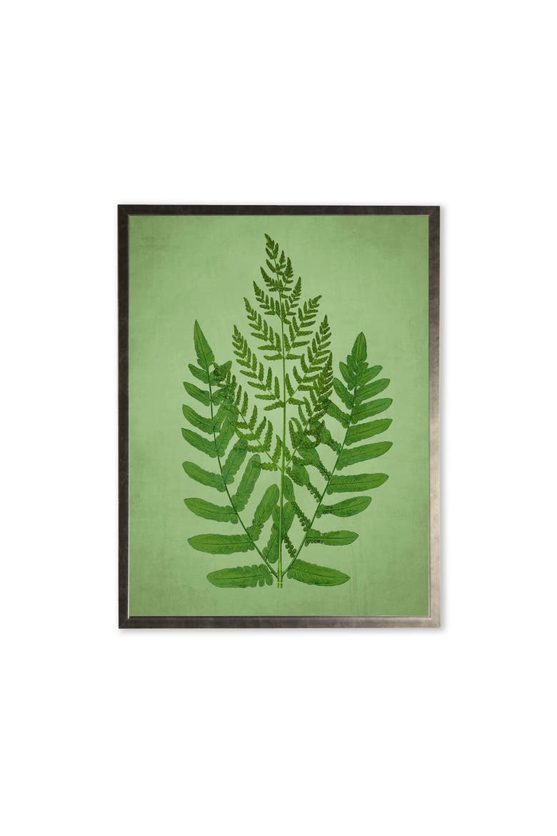 Fern in Silver Frame, Main, color, Multi