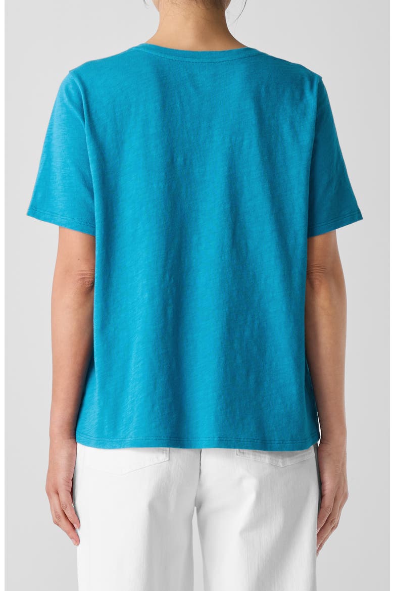 Easy V-Neck Organic Cotton T-Shirt, Alternate, color, DRAGONFLY