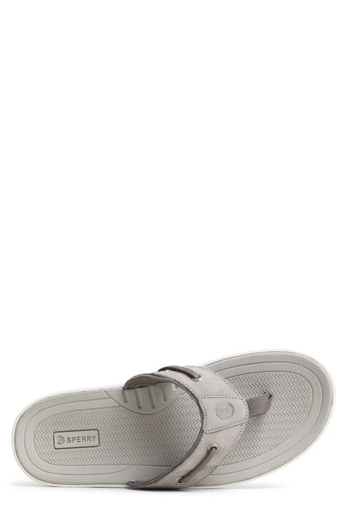 Sperry Baitfish Flip Flop In Light Grey