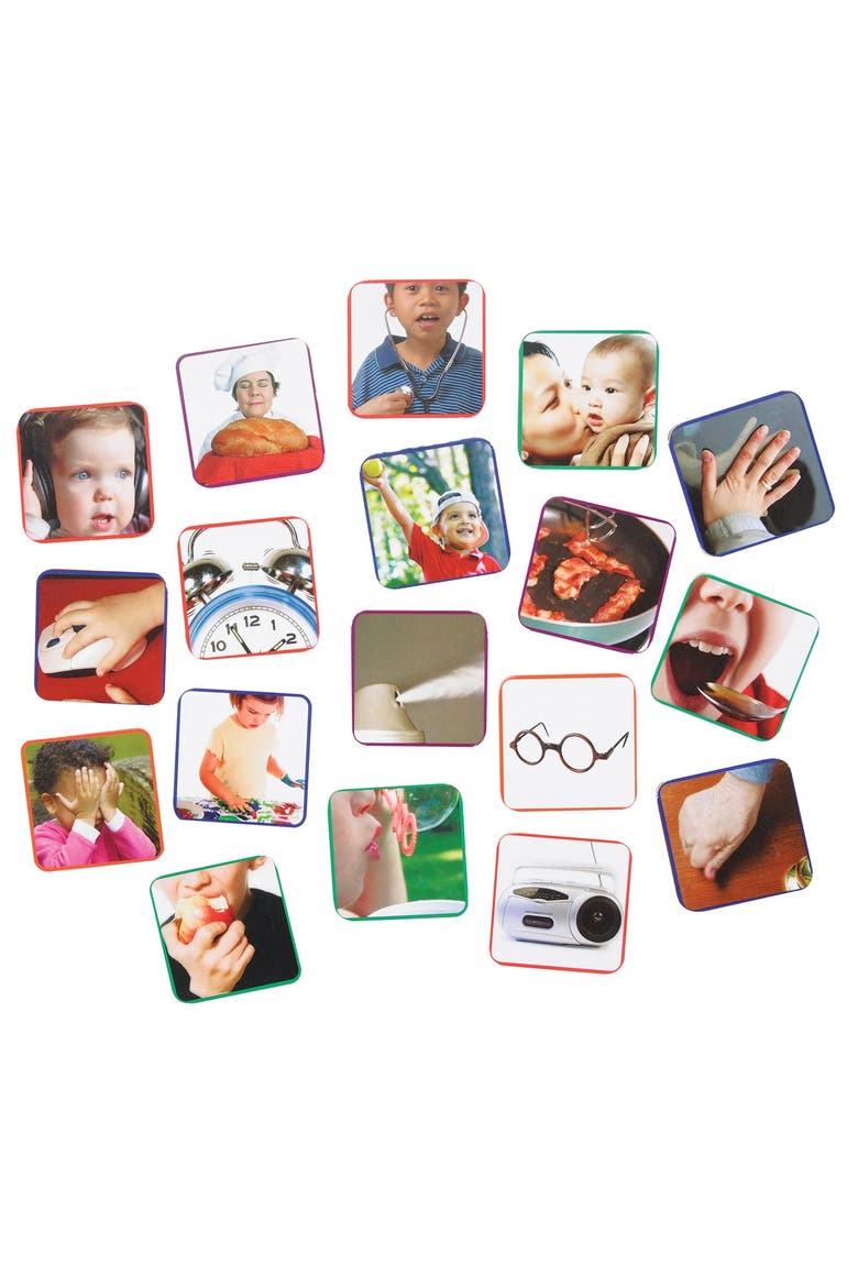Our Five Senses Interactive Game, Alternate, color, Multicolor