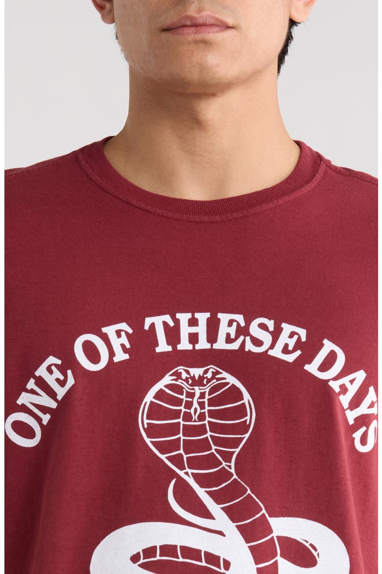Cobra Graphic Print T-Shirt, Alternate, color, BURGUNDY