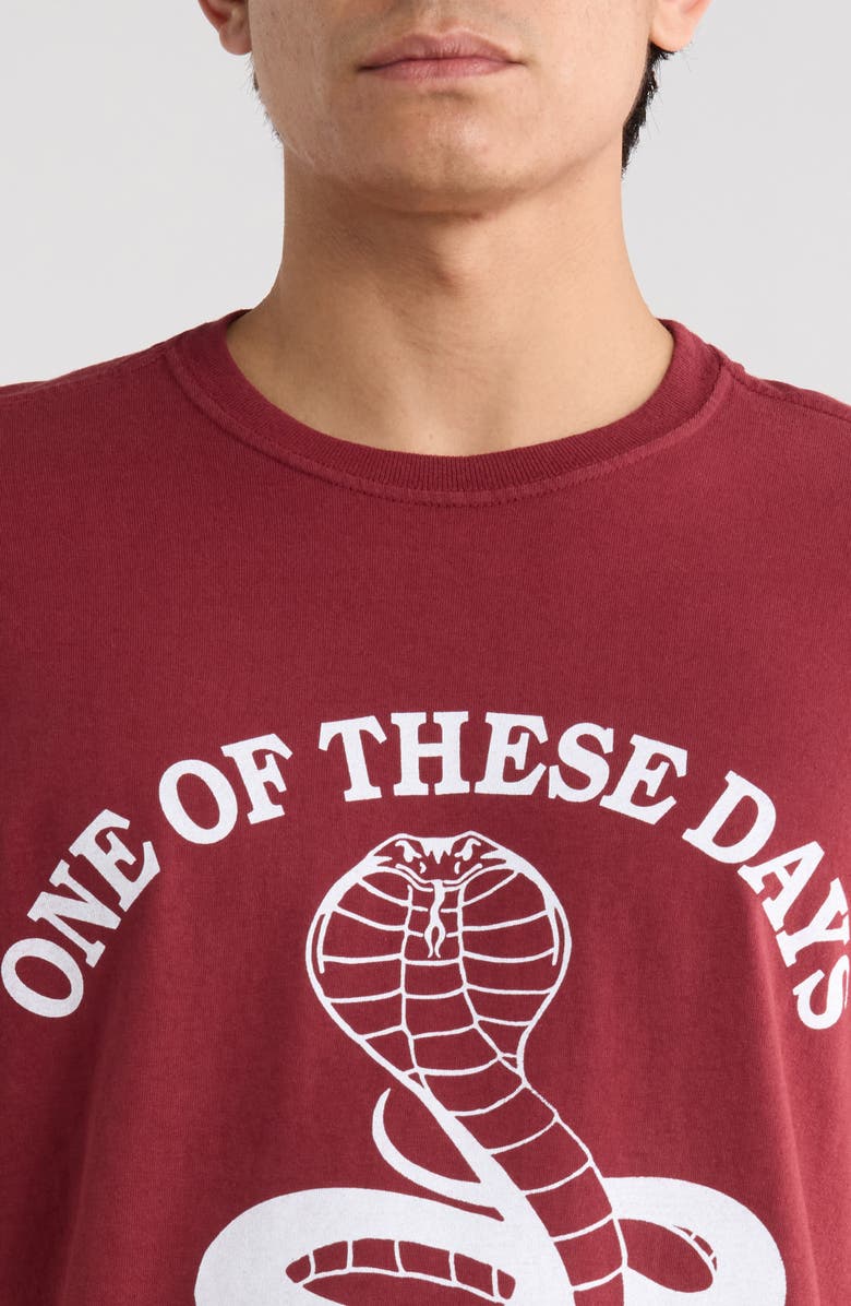 ONE OF THESE DAYS Cobra Graphic Print T-Shirt, Alternate, color, Burgundy