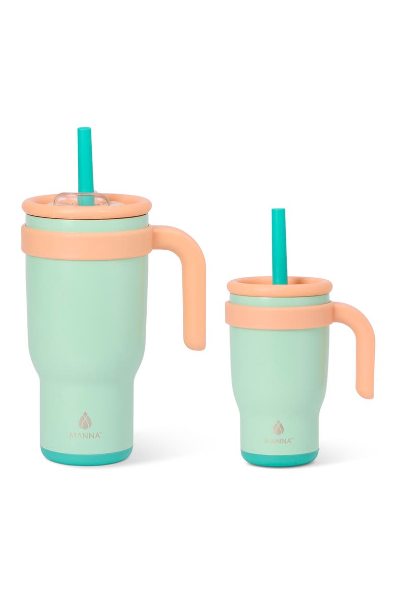 2-Pack Stainless Steel Tumblers, Main, color, MULTI
