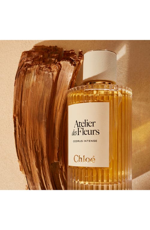Chloé Atelier Des Fleurs Cedrus Intense Eau De Parfum For Women In No Color